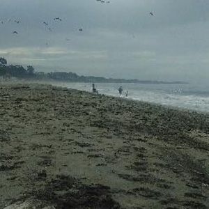 Meet your Posher, Elvia